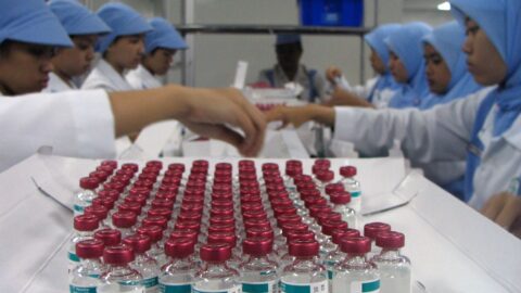 Workers handling rows of vaccine vials in a laboratory